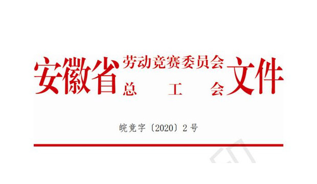 热烈祝贺356体育网站总裁李松珊女士荣获“安徽省劳动竞赛先进个人”称号