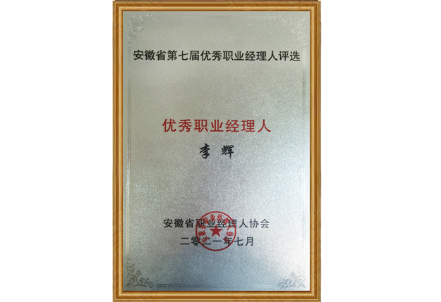 集团轮值总裁李辉先生荣获“安徽省优秀职业经理人”称号